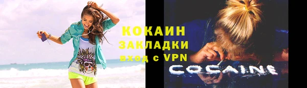 твердый Михайловка