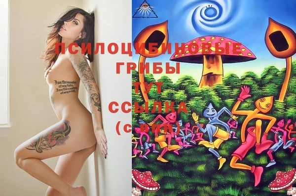 марки lsd Баксан