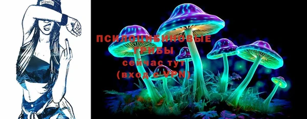 спиды Михайлов