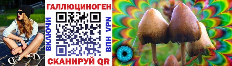 Галлюциногенные грибы Psilocybe  Давлеканово 