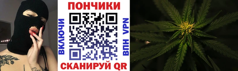 сколько стоит  Давлеканово  Бошки марихуана семена 